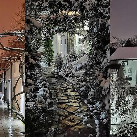 Zona Apartments 1 즈레냐닌 외부 사진