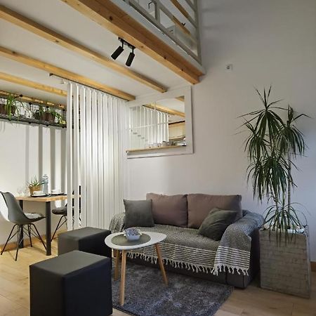 Zona Apartments 1 즈레냐닌 외부 사진
