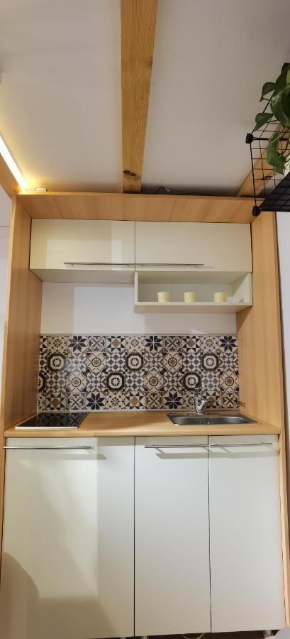 Zona Apartments 1 즈레냐닌 외부 사진