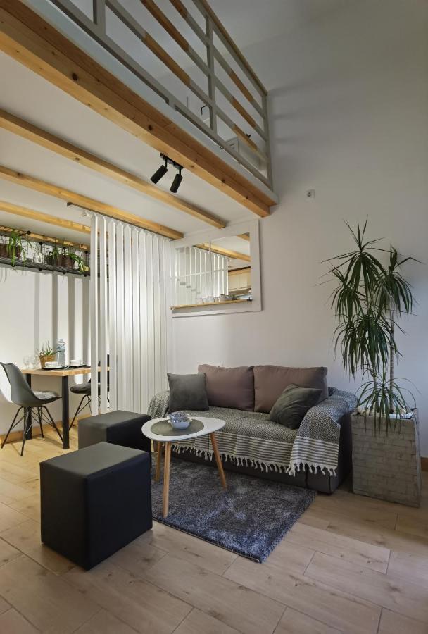 Zona Apartments 1 즈레냐닌 외부 사진